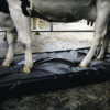 Septicare klauwmat | 180x90x10cm - Afbeelding 2