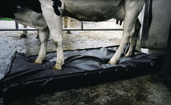 Septicare klauwmat | 180x90x10cm - Afbeelding 2